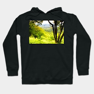 May Hoodie